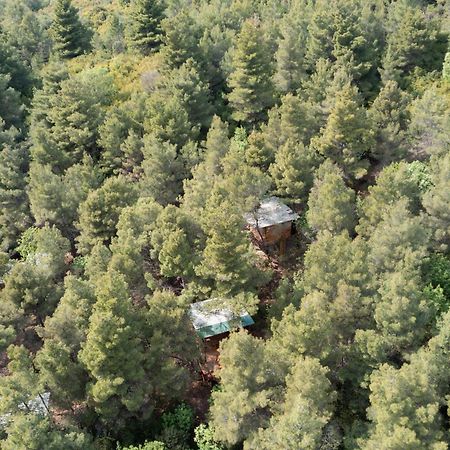 Treehouses Ljubac Glamping Robinson Esterno foto