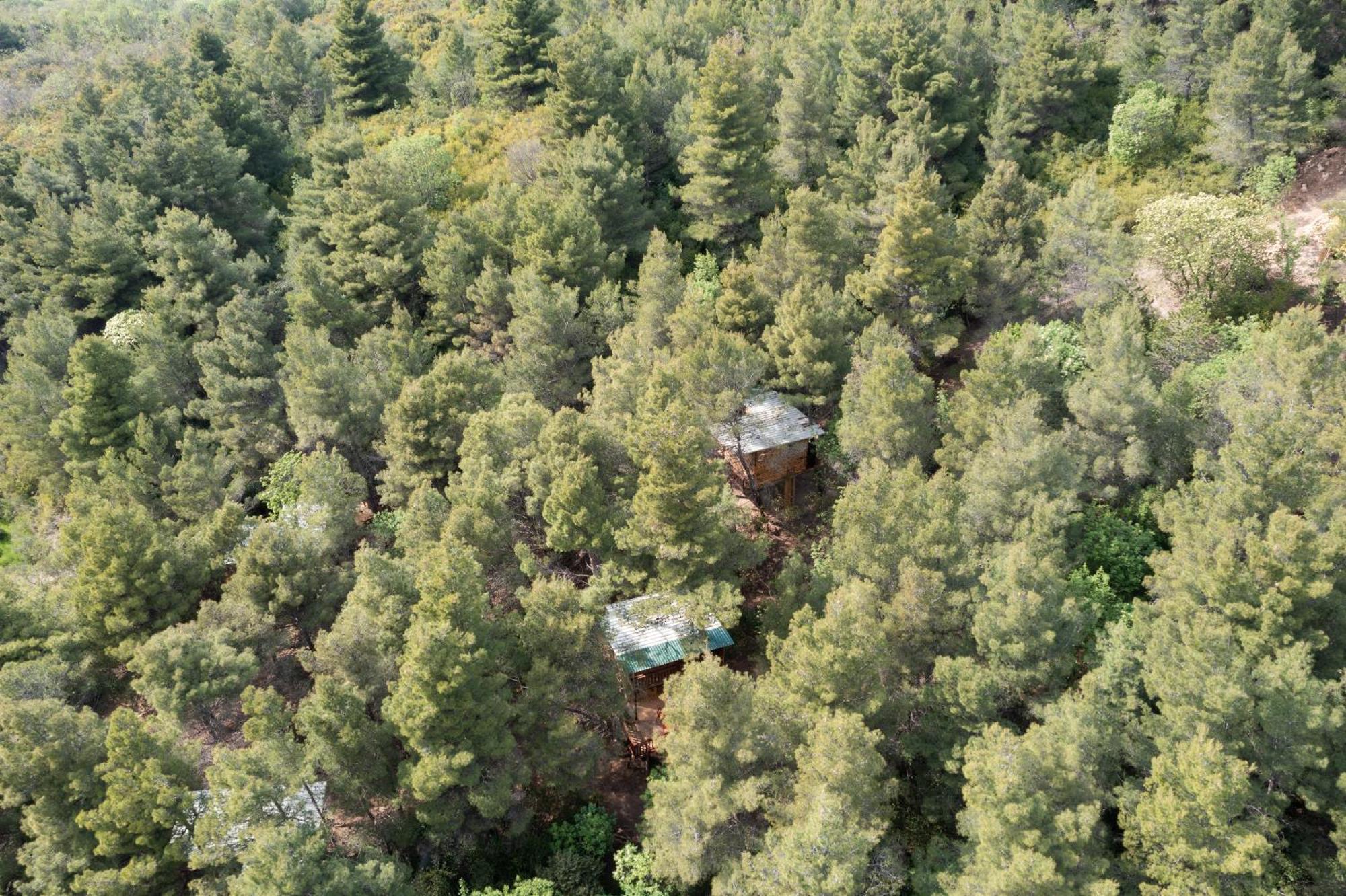 Treehouses Ljubac Glamping Robinson Esterno foto
